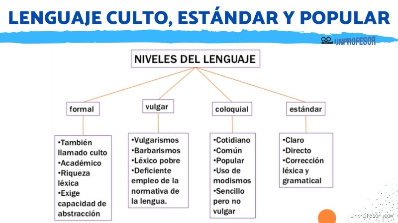 Más allá de las palabras: una guía técnica y humana sobre cuáles son los 4 niveles del lenguaje
