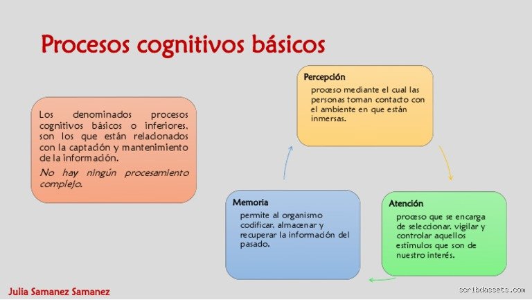 ¿Cuáles son los 4 procesos cognitivos básicos y por qué entenderlos transformará tu visión de la mente humana?