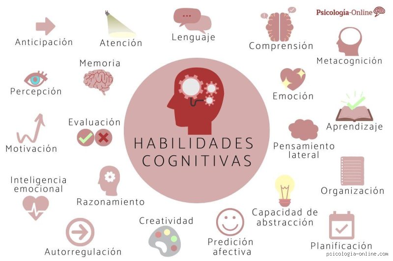 El mapa definitivo de la inteligencia: ¿Cuáles son los 4 tipos de habilidades intelectuales y por qué ignorarlas te frena?