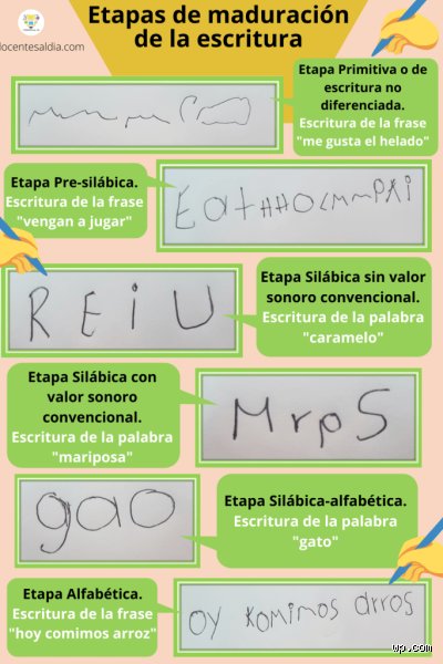 ¿Cuáles son los 7 niveles de escritura? Una guía técnica para entender la evolución del lenguaje escrito