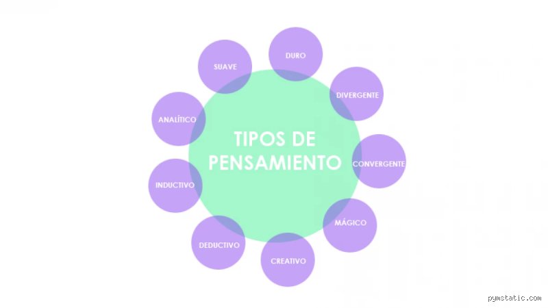 Explorando el laberinto cognitivo: ¿Cuáles son los 7 tipos de mente y cómo configuran nuestra realidad cotidiana?