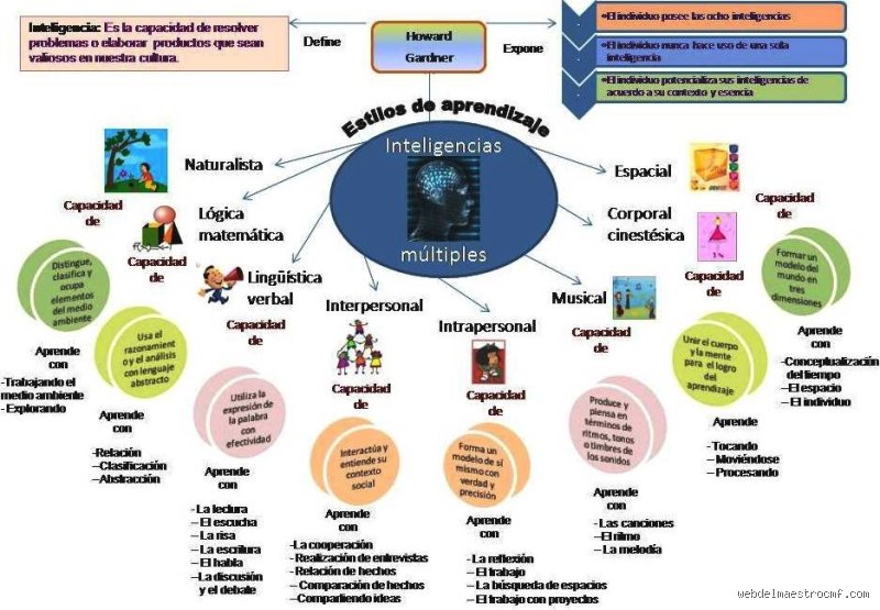 ¿Cuántas formas de enseñanza existen realmente y cómo están transformando nuestra manera de procesar el mundo actual?