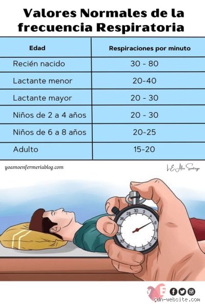 Guía definitiva sobre cuántas respiraciones por minuto tiene una persona sana y por qué el número exacto es un mito