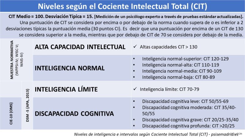 ¿Cuántos tipos de coeficiente intelectual hay en realidad? La verdad técnica frente a los mitos del potencial humano