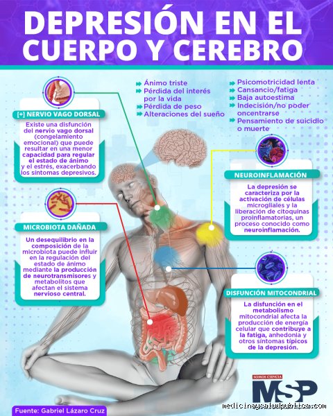 ¿La depresión afecta a todo el cuerpo? Más allá de la tristeza: la anatomía de un colapso sistémico total
