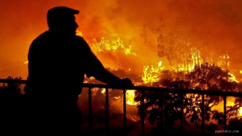 ¿Los humanos se sienten atraídos instintivamente por el fuego? La ciencia detrás de nuestra obsesión milenaria con las llamas