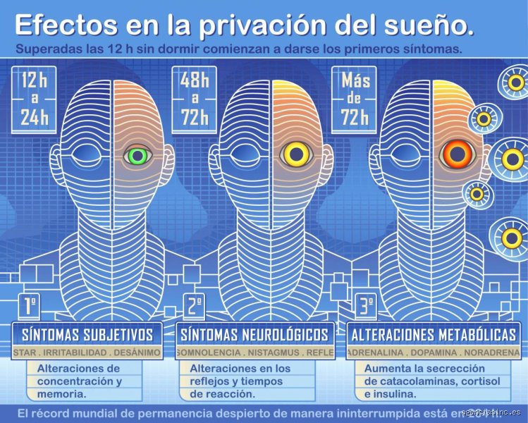 ¿Puedes sobrevivir 72 horas sin dormir? La cruda realidad tras el colapso cognitivo del tercer día