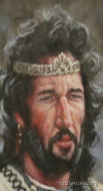 Descifrando el Elon significado biblico: un analisis profundo sobre robles, jueces y la etimologia hebrea olvidada