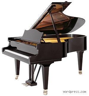 ¿Es el piano un cordófono? Una inmersión profunda en la anatomía sonora del rey de los instrumentos