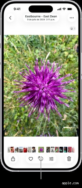 ¿Puede mi iPhone identificar algo a partir de una imagen? La guía definitiva sobre el poder oculto de Visual Look Up