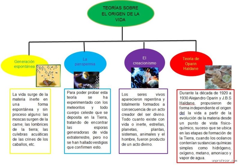 ¿Cuántos tipos de teorías hay y cuáles son? Una disección profunda sobre las estructuras que sostienen nuestro conocimiento actual