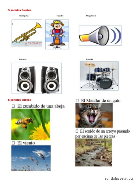 Más allá del decibelio: ¿Cuáles son 5 ejemplos de sonidos suaves y sonidos fuertes que definen nuestra realidad acústica diaria?