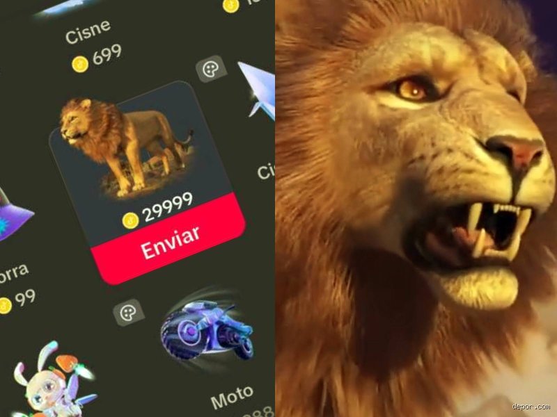 ¿Cuánto vale un regalo de 1 león en TikTok? El análisis definitivo sobre el estatus y el precio real de la fiera digital