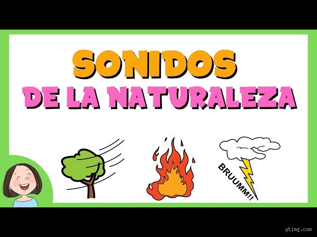 ¿Cuántos sonidos existen en la naturaleza? Un viaje por el infinito acústico que desafía la capacidad auditiva humana