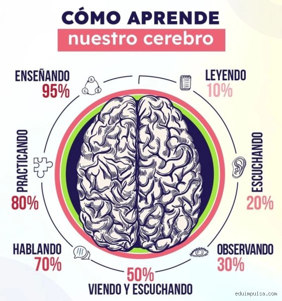 ¿Cómo aprende el cerebro mejor? La ciencia detrás del aprendizaje eficaz