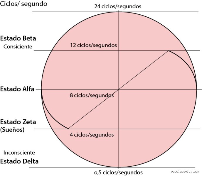 ¿Cuáles son los 4 estados de la mente? Un viaje profundo desde las ondas gamma hasta el silencio absoluto