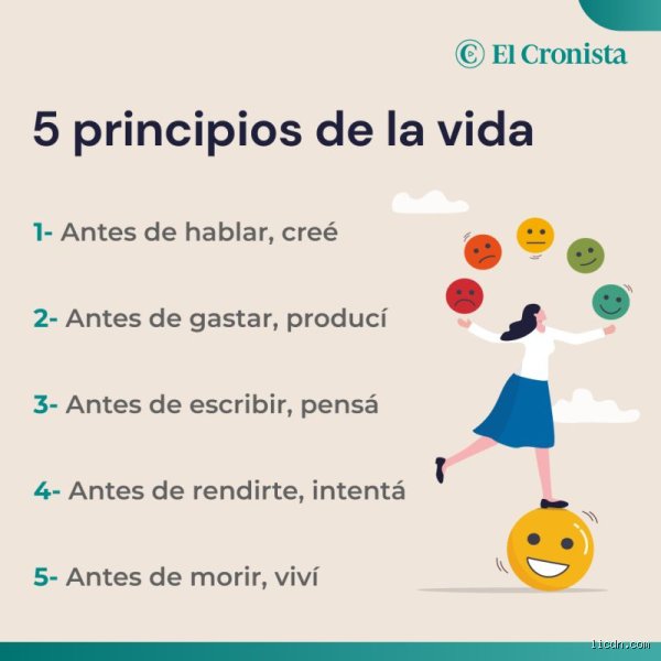 Descifrando la existencia: ¿Cuáles son los 4 principios de la vida? Un análisis profundo sobre la arquitectura del ser