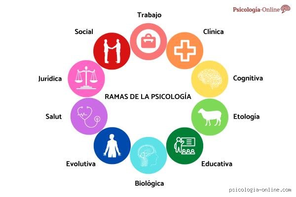 ¿Cuáles son los 7 principales conceptos de psicología que definen nuestra mente y el comportamiento humano moderno?