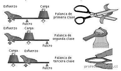 ¿Cómo diferenciar los 3 tipos de palancas? La guía definitiva para entender la física del movimiento cotidiano