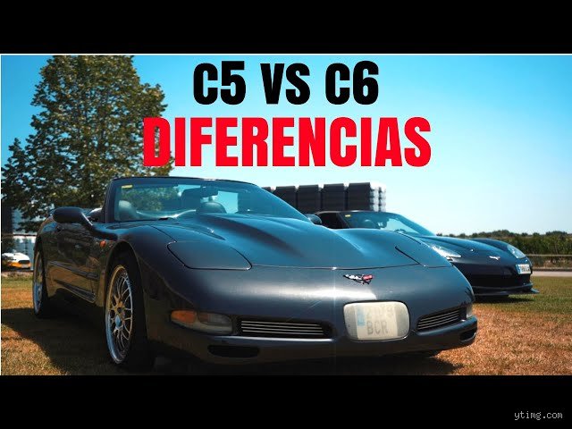 ¿Cómo distinguir un C5 de un C6? La guía técnica definitiva para no perderse entre vértebras y raíces nerviosas