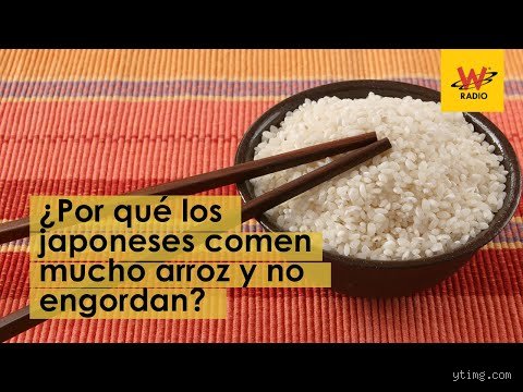 ¿Cómo los japoneses no engordan si comen tanto arroz? El secreto científico detrás de la paradoja metabólica de Japón