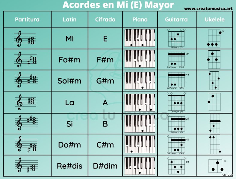 ¿Cómo puedo saber mi escala? Guía técnica para dominar las dimensiones métricas en tus proyectos