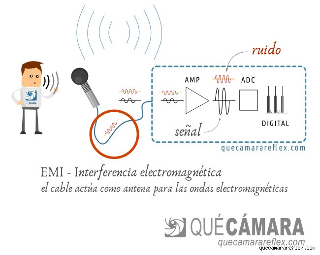 De la vibración a la jaqueca: El proceso oculto sobre cómo se convierte el sonido en ruido y su impacto físico