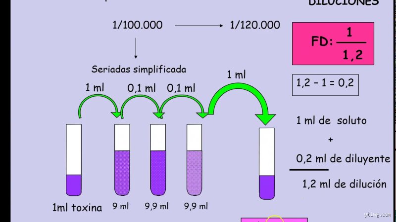 Dominar la técnica de laboratorio: cómo se hace una dilución 1/4 con precisión profesional y rigor científico
