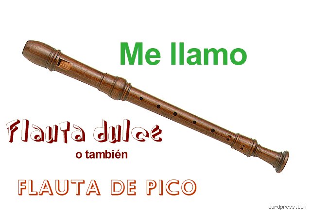 ¿Cómo se llama una flauta para principiantes? Guía técnica para elegir tu primer instrumento de viento
