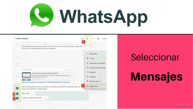 Guía definitiva para dominar tu historial: ¿Cómo seleccionar todos los mensajes de una conversación de WhatsApp?