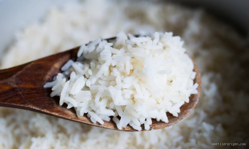 ¿Cuál es el arroz más astringente? Guía técnica sobre el grano ideal para frenar procesos digestivos complejos