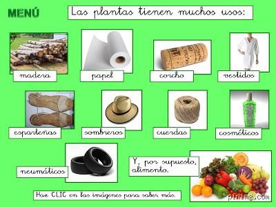 El inventario de la existencia: ¿cuáles son 10 ejemplos de cosas naturales que definen nuestro planeta?