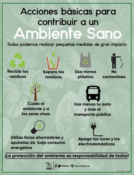 ¿Cuáles son las 10 características de un ambiente sano para alcanzar el máximo bienestar integral?