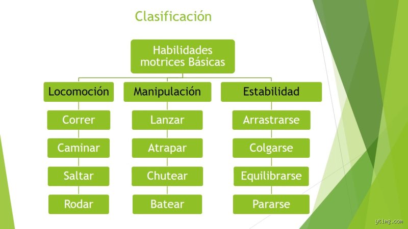 Dominar el mercado laboral moderno: ¿Cuáles son las 4 clasificaciones de habilidades que definirán tu futuro profesional?