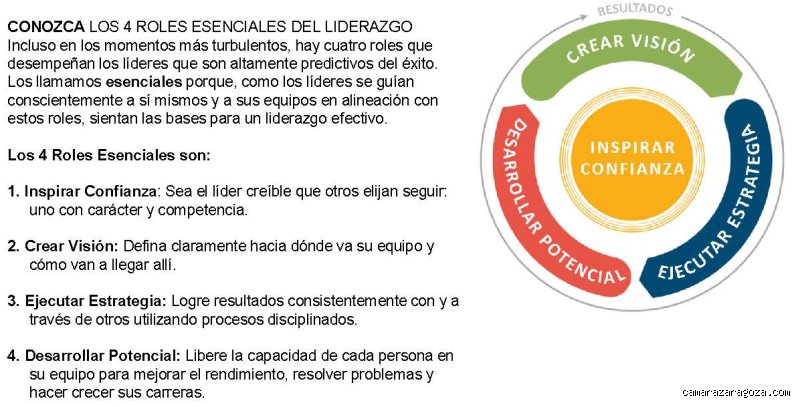 Liderazgo moderno y efectivo: ¿Cuáles son las 4 competencias fundamentales del liderazgo para transformar organizaciones hoy?