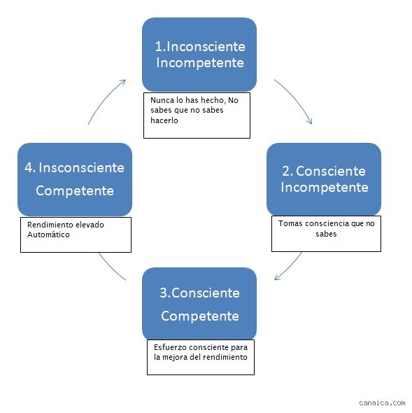 Dominar el aula moderna: ¿Cuáles son las 4 etapas del ciclo pedagógico y cómo transforman el aprendizaje real hoy?