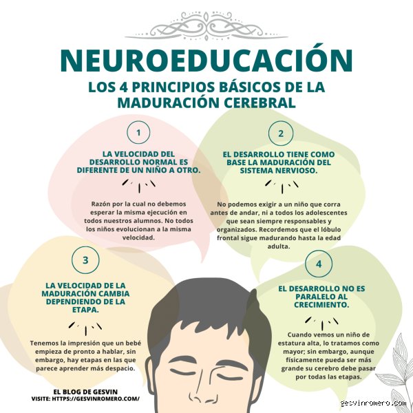¿Cuáles son las 4 unidades básicas de la cognición y cómo definen nuestra arquitectura mental?