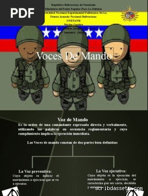 Domina el arte del liderazgo operativo: ¿Cuáles son las 5 características de una voz de mando que realmente funciona?