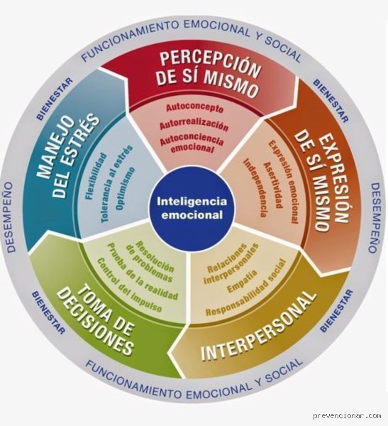 ¿Cuáles son las 5 competencias básicas? Guía definitiva para entender el nuevo paradigma de supervivencia profesional y personal