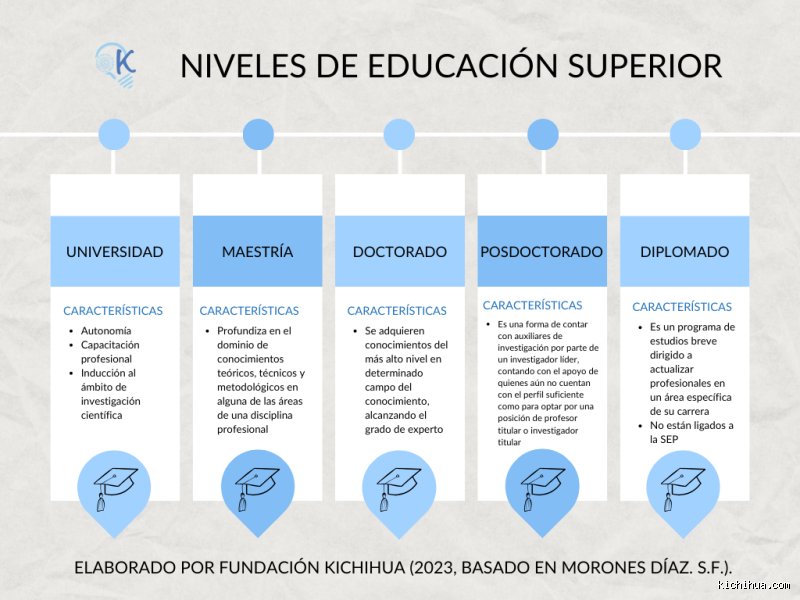 La realidad tras los 4 niveles de educación superior: una guía definitiva para no perderse en el laberinto académico moderno