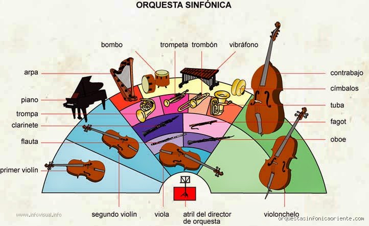 ¿Cuáles son los 4 tipos de orquesta? El mapa definitivo para entender la jerarquía del sonido institucional