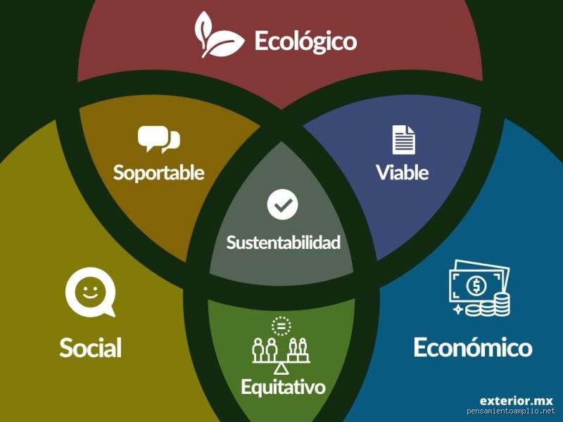 Más allá de la ecología de salón: ¿Cuáles son los 5 pilares del medio ambiente que realmente sostienen el planeta?