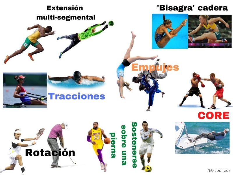 ¿Cuáles son los 7 movimientos fundamentales para transformar tu cuerpo y recuperar la funcionalidad que la vida moderna te robó?