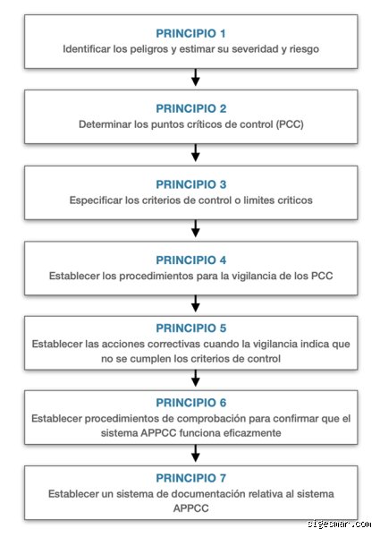 Guía definitiva sobre los 7 principios básicos: por qué comprender estas reglas maestras define tu éxito estratégico