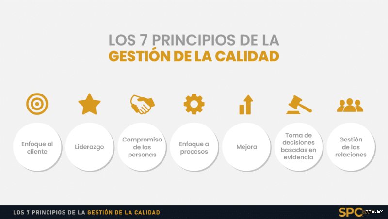 Descifrando el núcleo operativo: ¿Cuáles son los 7 principios del enfoque basado en principios para una gestión de alto impacto?