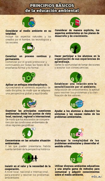 Más allá del reciclaje: ¿cuáles son los 7 principios del medio ambiente que realmente dictan nuestra supervivencia en la Tierra?