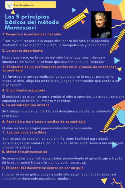 Guía definitiva para entender cuáles son los 8 principios de la educación Montessori y por qué siguen revolucionando las aulas un siglo después