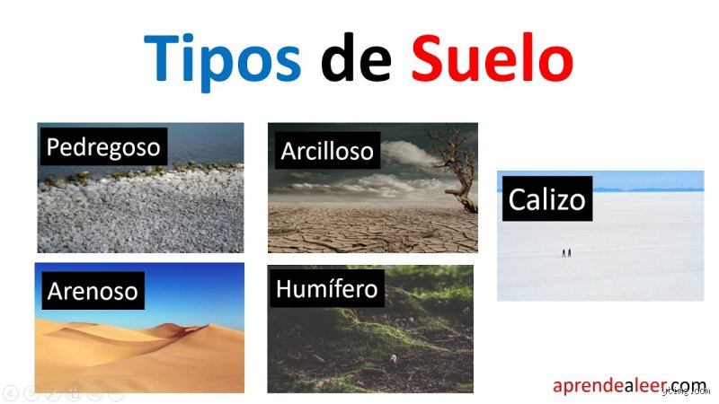 ¿Cuáles son los tres tipos de suelos y por qué entender su estructura bajo tus pies lo cambia todo?