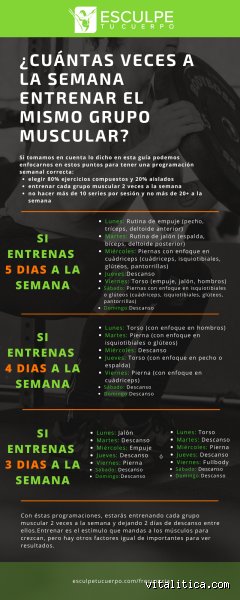 ¿Cuántas veces a la semana debo hacer elevaciones de piernas para esculpir un abdomen de acero?