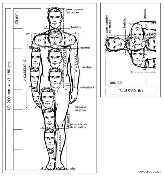¿Cuánto mide una persona en escala 1,5? La guía definitiva para entender las proporciones en el modelismo y la arquitectura